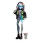 Muñeca Frankie Stein de Monster High con accesorios