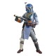 Dos figuras Mandalorian Shriek-Hawk Trainers de la Black Series
