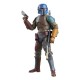 Dos figuras Mandalorian Shriek-Hawk Trainers de la Black Series