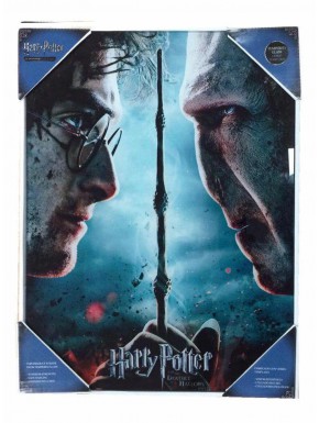 Poster glass Harry Potter vs Voldemort