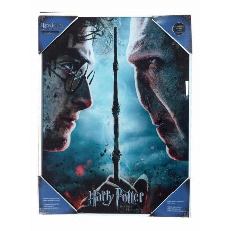 Poster glass Harry Potter vs Voldemort