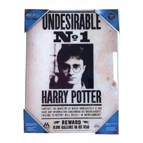 Poster vidrio Harry Potter vs Voldemort
