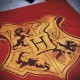 Pack de regalo Harry Potter edición limitada con estuche y accesorios
