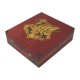Pack de regalo Harry Potter edición limitada con estuche y accesorios