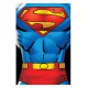 Fleece Blanket Superman