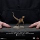 Estátua Velociraptor B Jurassic World 9 cm em polirresina