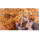 Figura PVC Tricolour Lovestory con gatito y escalera