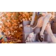 Figura PVC Tricolour Lovestory con gatito y escalera