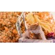 Figura PVC Tricolour Lovestory con gatito y escalera