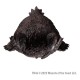 Estatua de Baby Owlbear de Dungeons & Dragons