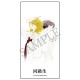 Doukyusei Nendoroid figuras de Rihito Sajo y Hikaru Kusakabe