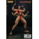 Figurine Mortal Kombat Sheeva 1/12 avec Accessoires