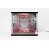 Display Acrílico SHINSAI com Iluminação Inbina Rasethuhime Saki 39 cm