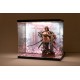 SHINSAI display acrílico con iluminación y figura Inbina Rasethuhime Saki