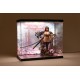 Display acrylique SHINSAI avec éclairage et figure Inbina Rasethuhime Saki