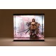 Display acrylique SHINSAI avec éclairage et figure Inbina Rasethuhime Saki