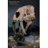 Série Wonders of the Wild Estátua Crânio de Smilodon 22 cm