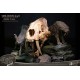 Série Wonders of the Wild Statue Crâne de Smilodon