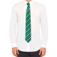 Set Corbata y Pin Harry Potter Slytherin