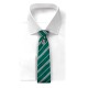 Set Corbata y Pin Harry Potter Slytherin