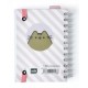 Agenda 2018 Pusheen Stars