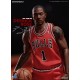 Figura de Derrick Rose NBA 30 cm edición limitada