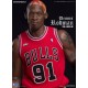 Figura coleccionable Real Masterpiece de Dennis Rodman de 33 cm