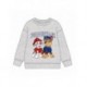 Sudadera gris Paw Patrol con Marshall y Chase para niños