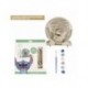 Kit de bricolage en bois à colorier Stitch