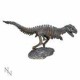 Figura de esqueleto de Tiranosaurio Rex de 33 cm