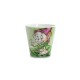 Taza Doopey verde de 7 Enanitos Disney