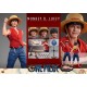 Figura articulada Monkey D. Luffy 31 cm One Piece