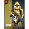 Figurine Star Wars Clone Trooper Édition Exclusive 30 cm