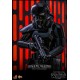 Figura Star Wars Shadow Trooper 30 cm con entorno