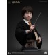 Busto de Harry Potter a escala real de 76 cm