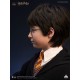 Busto de Harry Potter a escala real de 76 cm