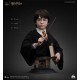 Busto de Harry Potter a escala real de 76 cm