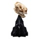 Estatua cráneo de Warg de El Señor de los Anillos por WETA