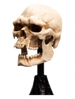 Estatua calavera de orco de Mordor de 14 cm