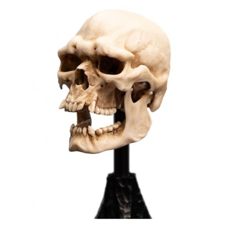 Estatua calavera de orco de Mordor de 14 cm