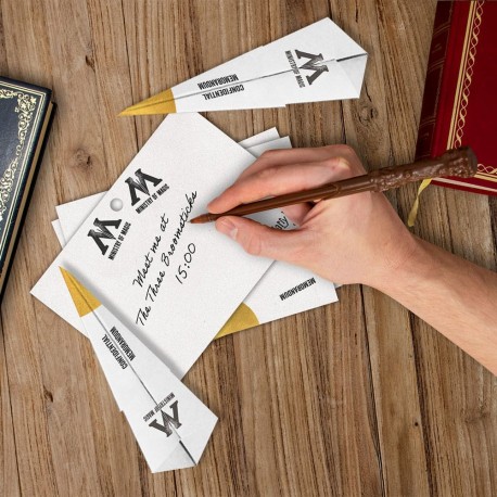 Bloc de nota y bolígrafo Harry Potter con diseño del Ministerio de Magia