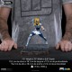Estatua de Cygnus Hyoga de Saint Seiya de 19 cm