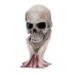 Estatua de cráneo Metallica Sad But True de 22 cm