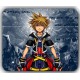 Mat Sora Kingdom Hearts