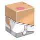Caja coleccionable Sandy de SpongeBob SquarePants™