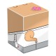 Caja coleccionable Sandy de SpongeBob SquarePants™