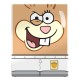 Caja coleccionable Sandy de SpongeBob SquarePants™
