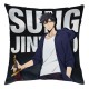 Almohadilla de Sung Jin-Woo Solo Leveling 40x40 cm