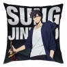 Coussin Solo Leveling Sung Jin-Woo 40x40 cm - Licence Officielle