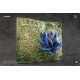 Sculpture en relief Black Lotus de Magic The Gathering
